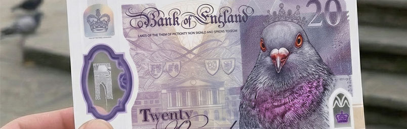 Pigeon Petition